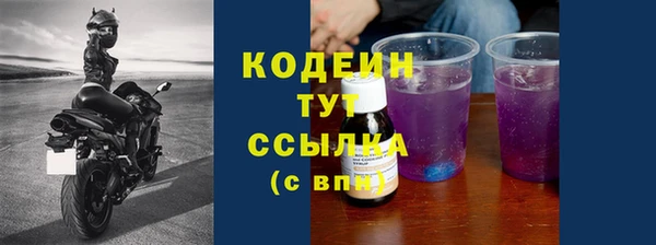 амф Бородино
