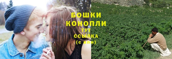 стаф Бугульма