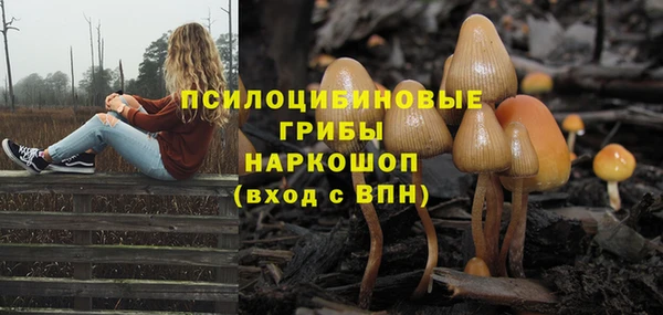 амф Бородино