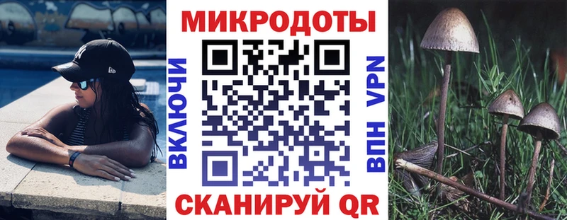 Псилоцибиновые грибы Psilocybine cubensis  Купить закладки  Мариинский Посад 